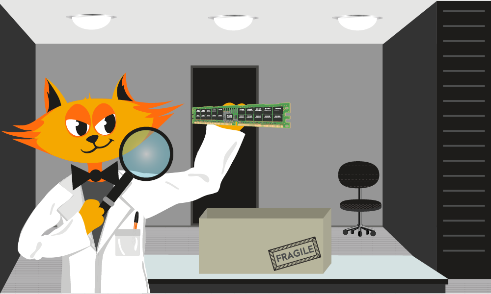 Tabby and ServerCat providing expert solutions and know-how